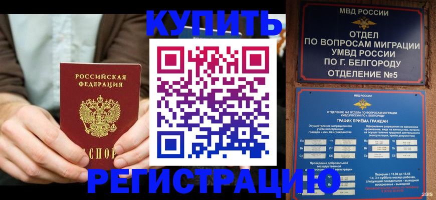 прописка 2025 в Дзержинском